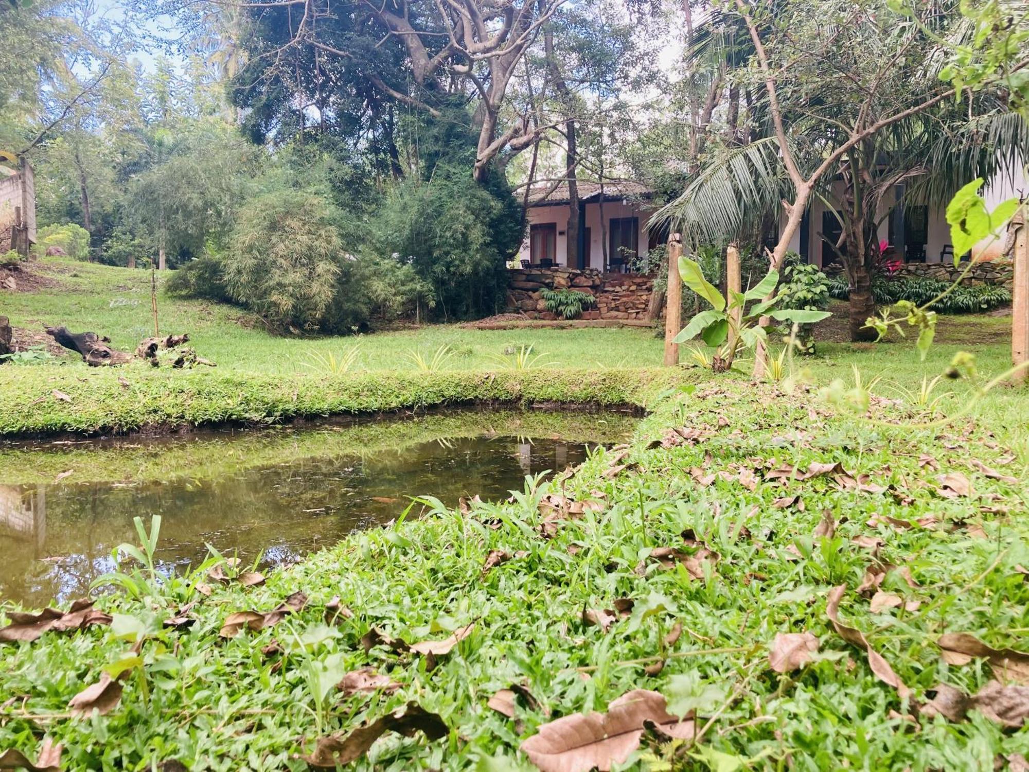 Hotel Nugasewana Guest à Anurâdhapura Extérieur photo