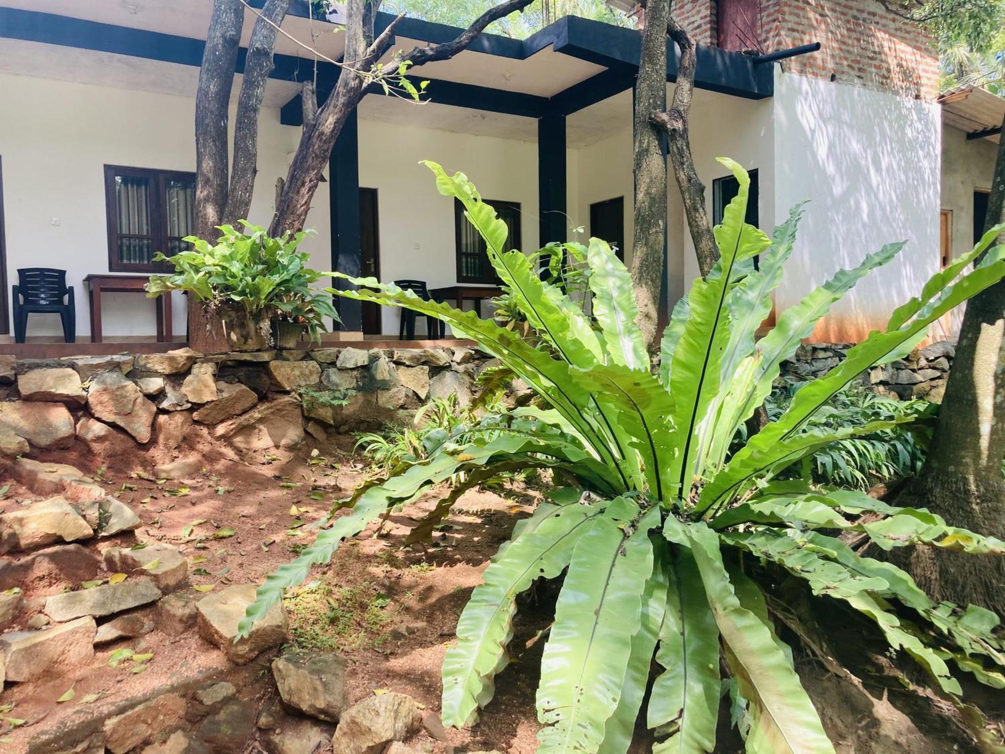 Hotel Nugasewana Guest à Anurâdhapura Extérieur photo