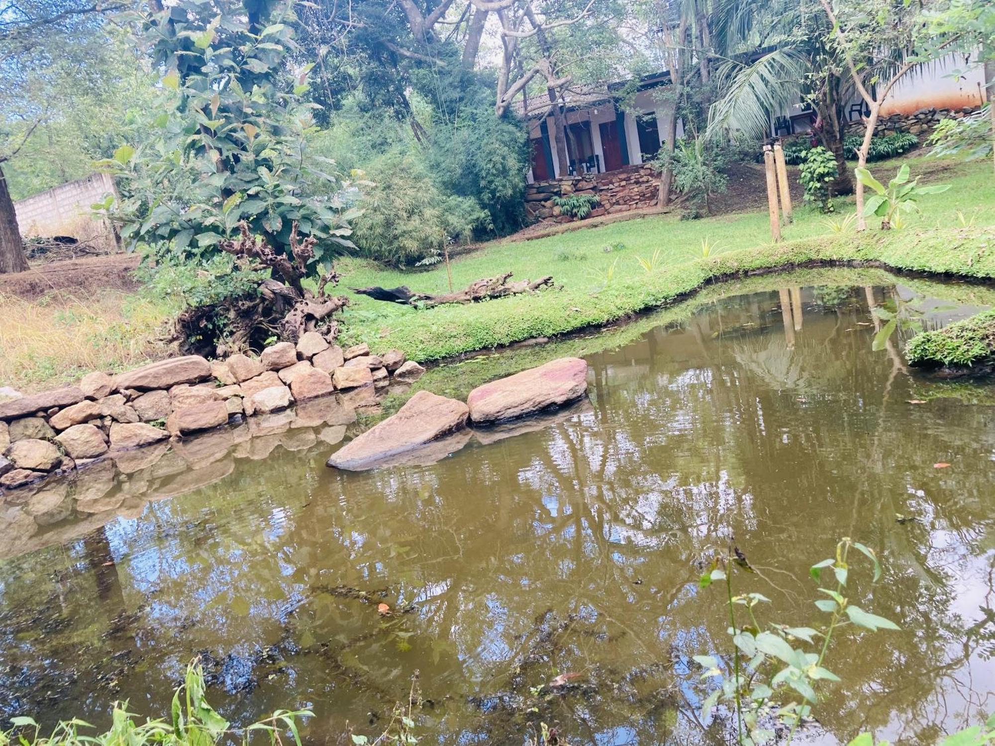 Hotel Nugasewana Guest à Anurâdhapura Extérieur photo
